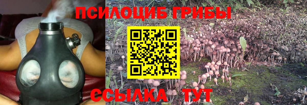 сколько стоит  Вход с VPN  Тверь  Галлюциногенные грибы ЛСД 