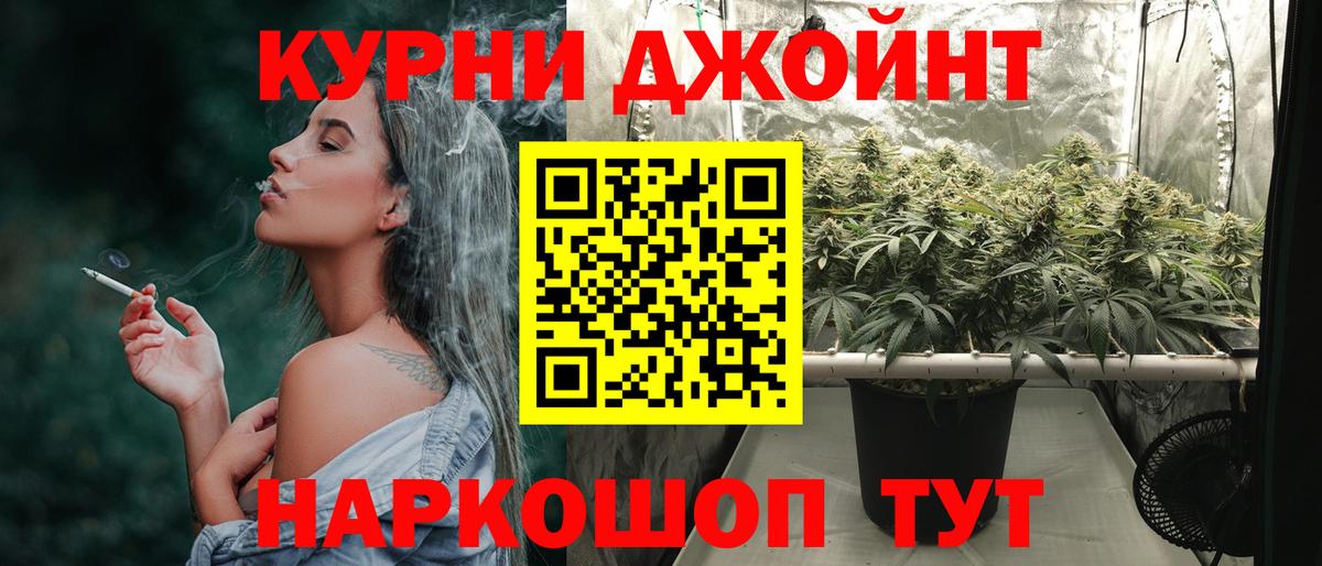 Бошки марихуана гибрид  Марихуана сатива  Вход с VPN  Марихуана VHQ  Бошки Шишки семена  Тверь 